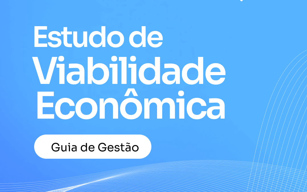 Viabilidade Econômica – Guia de Gestão